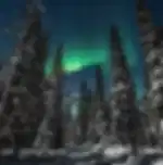 Northern Lights with Campfire and Reindeer feeding with shared transfers