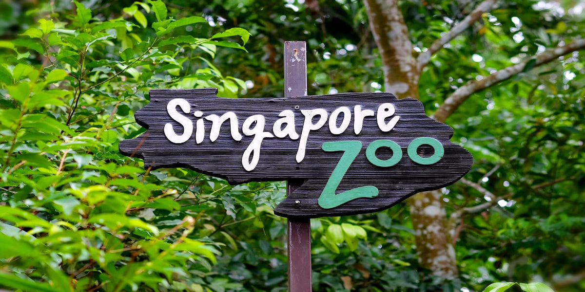 Mandai Combo - River Wonders with ARQ boat ride , Singapore Zoo and Night Safari with Private Transfers