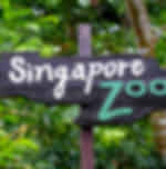 Mandai Combo - River Wonders with ARQ boat ride , Singapore Zoo and Night Safari with Private Transfers