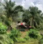 Phuket-Rafting Program E - Visit Sametnangshe and Suwankuha Temple and Rafting 5 km.and Waterfall with Lunch and ATV 30 min and Flying Fox 150 M in Shared Transfer(Minimum 4 Pax)