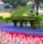Private transfer for Tulip festival sightseeing ( Disposal Car fort o go Emirgan Park, with Guide )