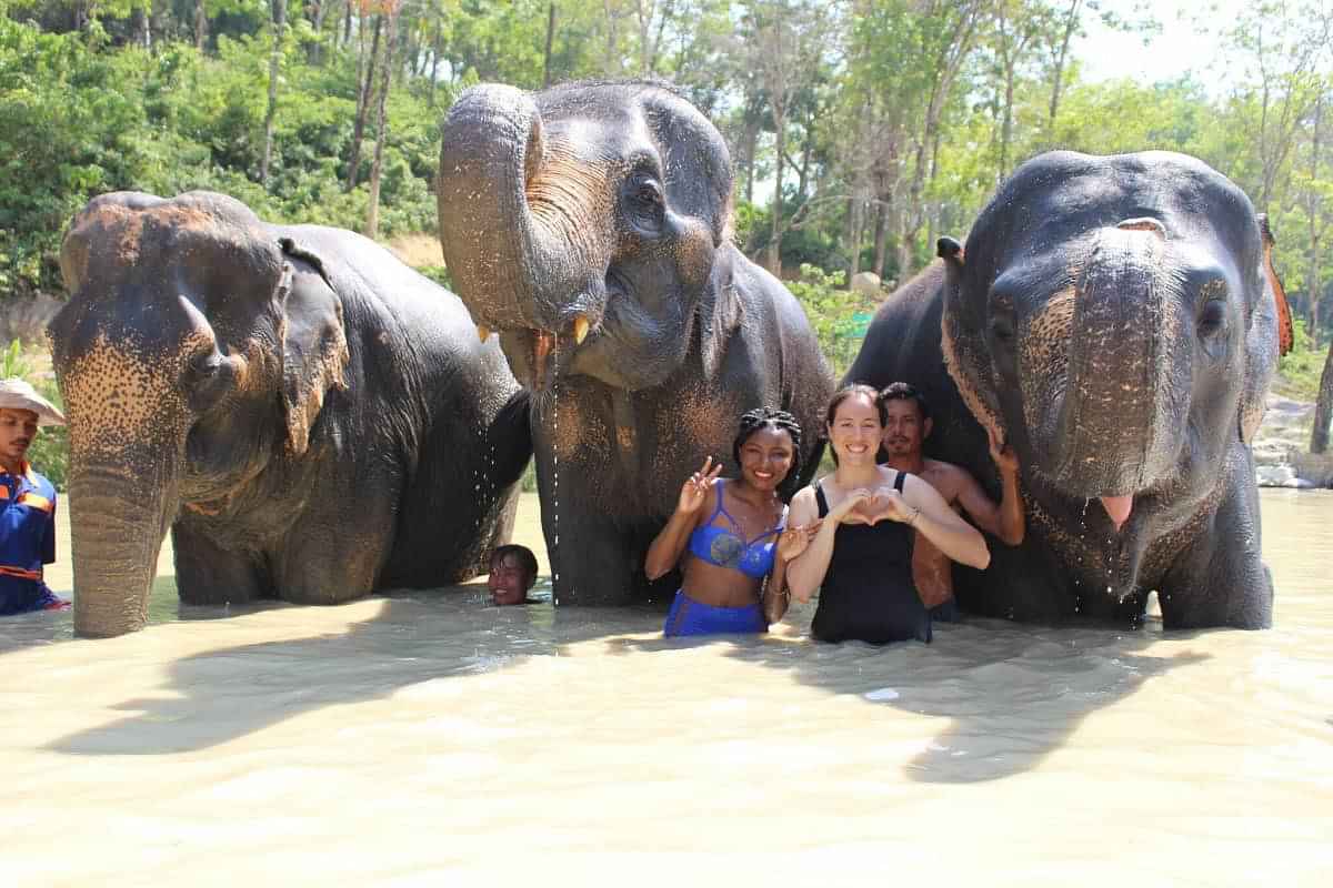 Phuket-Feeding and walk Elephant 30 min. + Watching Elephants play in the water (Shared Transfer)  