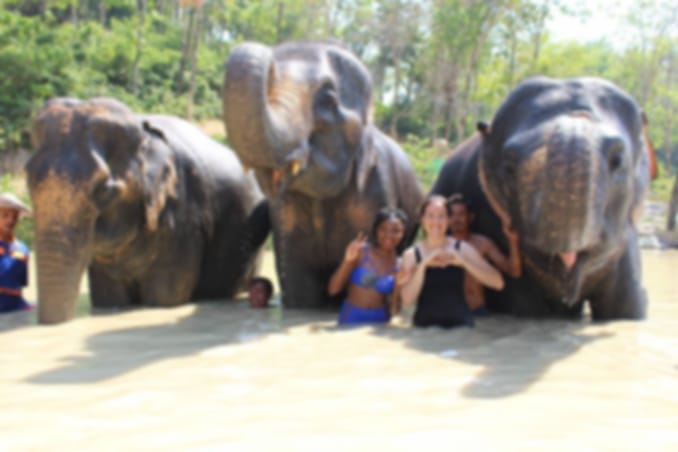 Phuket-Feeding and walk Elephant 30 min + Bathing with Elephant 15 Min. (Shared Transfer)- (FB)