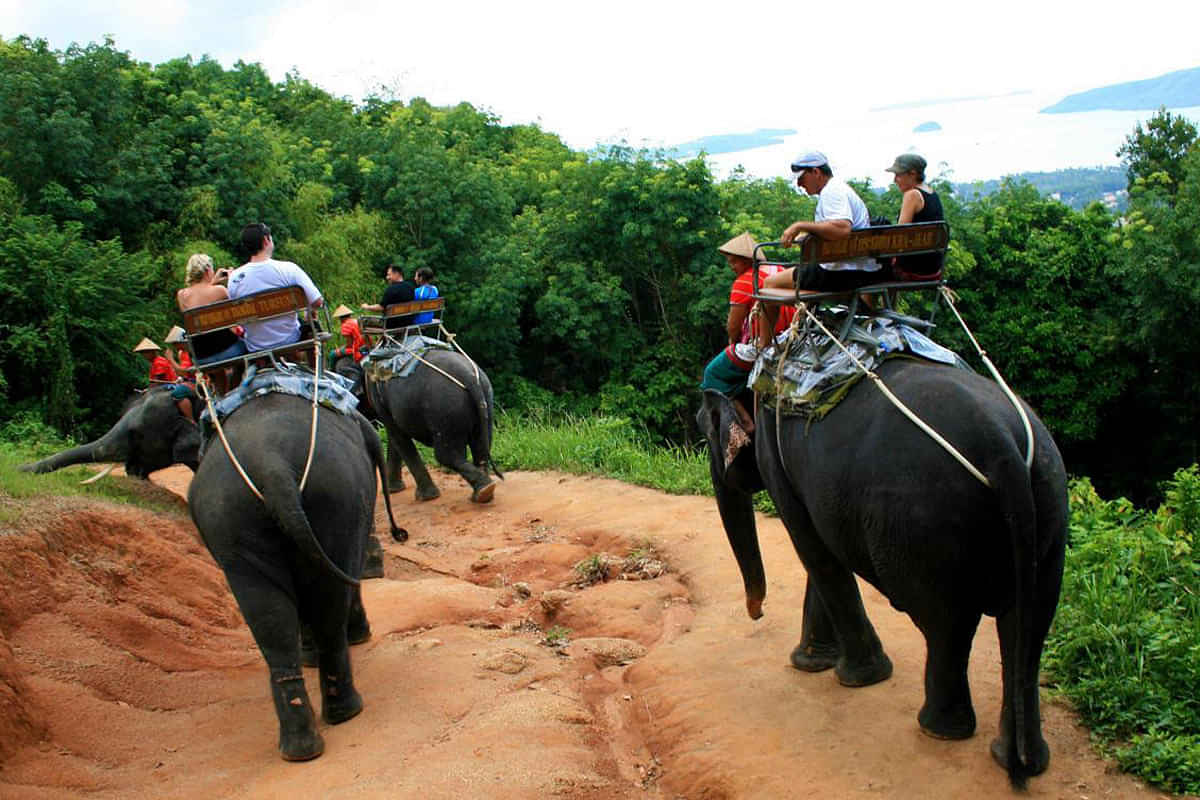 Phuket-Combo 5 - Big Buddha, Elephant Trekking - 15 Mins with Shared Transfer