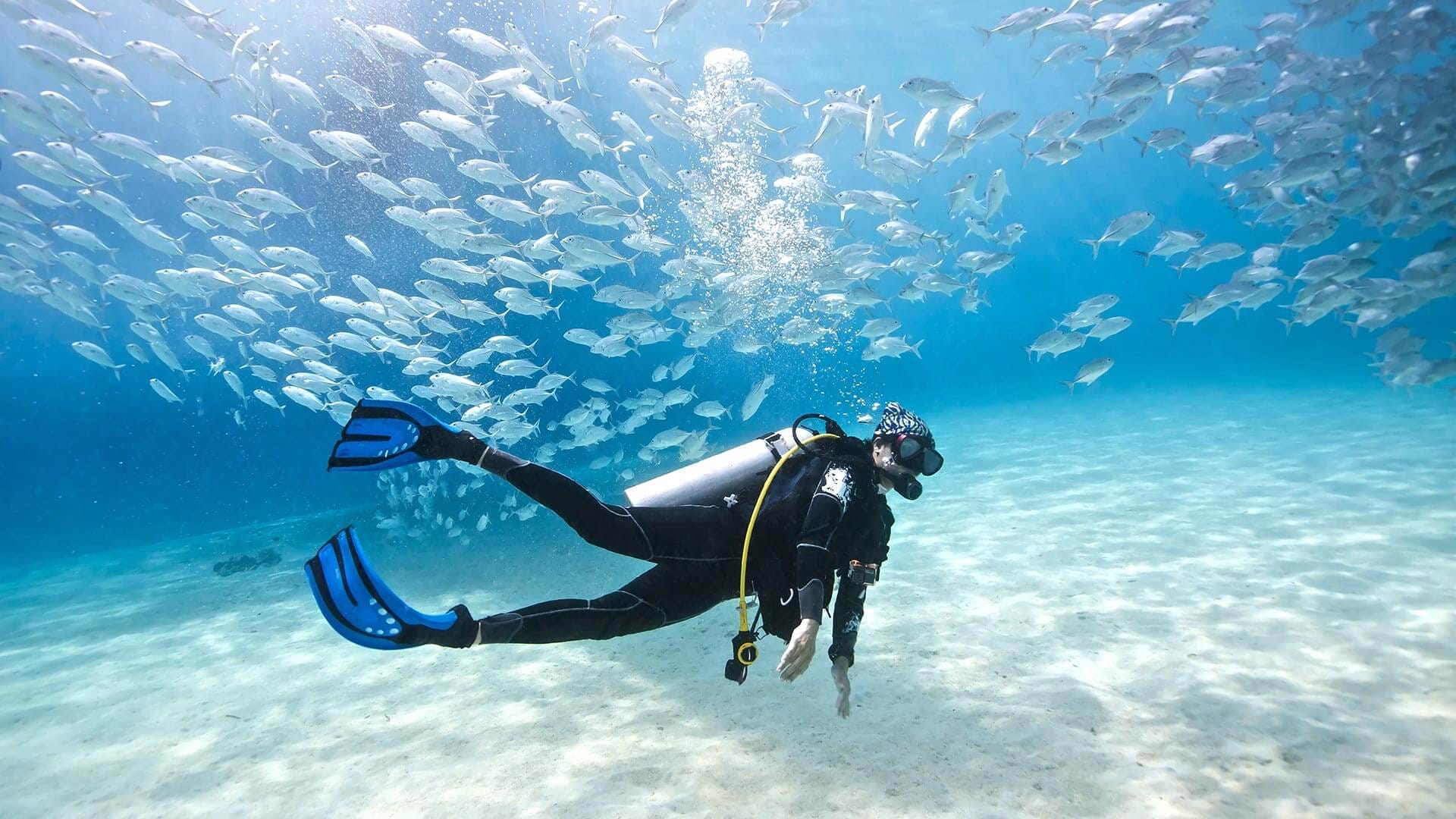 Phuket-Scuba Diving (3-Dives) (Shared Transfer) 