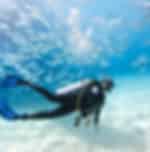 Phuket-Scuba Diving (3-Dives) (Shared Transfer)
