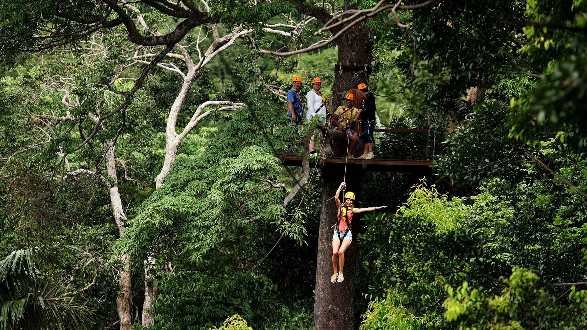 Phuket-Zipline 10 Platforms With Shared Transfers 