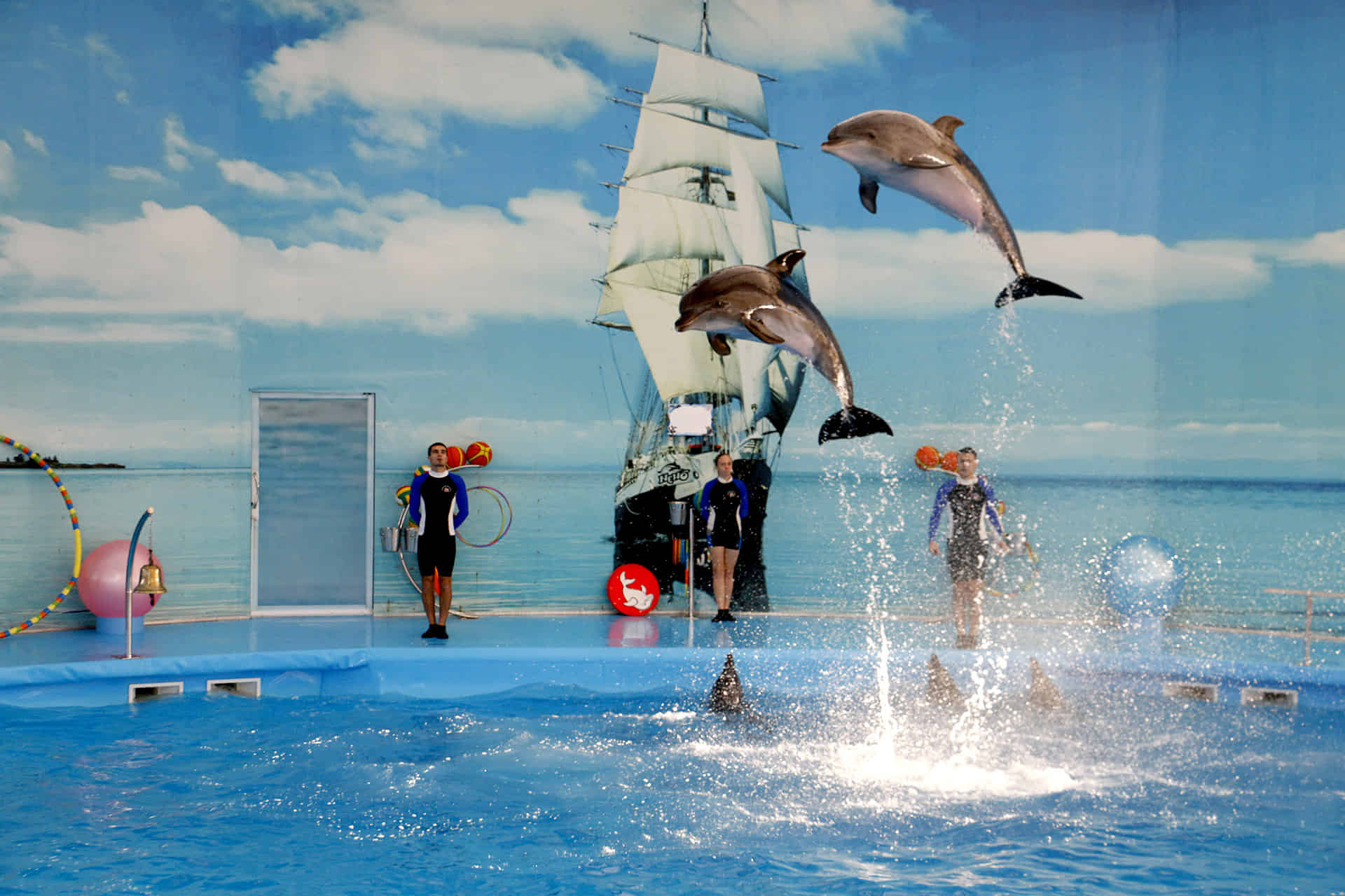 Phuket-Dolphins Bay and Deluxe Seat Show with Private Transfers (Closed on Monday) 