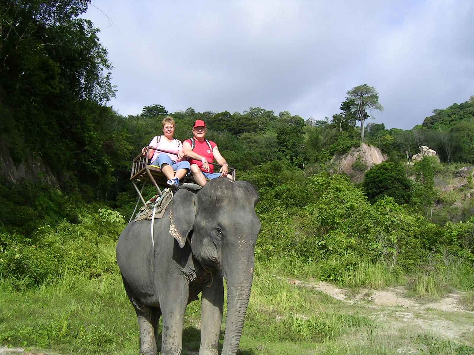 Phuket-Jungle Seaview Elephant Trekking 30 Mins (Shared Transfer) 