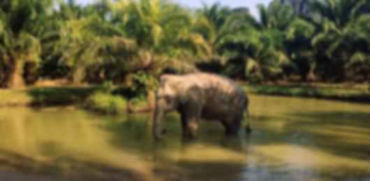 Thailand Trio: 2 Nights in Bangkok, 3 Nights in Krabi, 2 Nights in Phuket