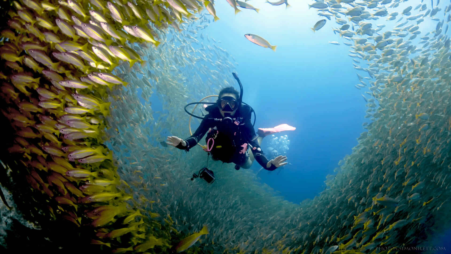 Phi Phi-Scuba Diving 1 Day 2 Dives From Tonsai Pier With Shared Transfers