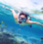 Phi-Phi Snorkelling from Tonsai Pier