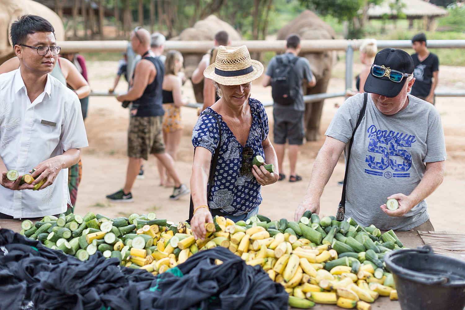 Samui-Elephant Cooking Adventure With Shared Transfers