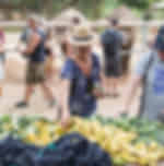 Samui-Elephant Cooking Adventure With Shared Transfers