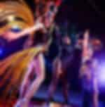 Pattaya-Tiffany's Show - VIP Show With Private Transfer