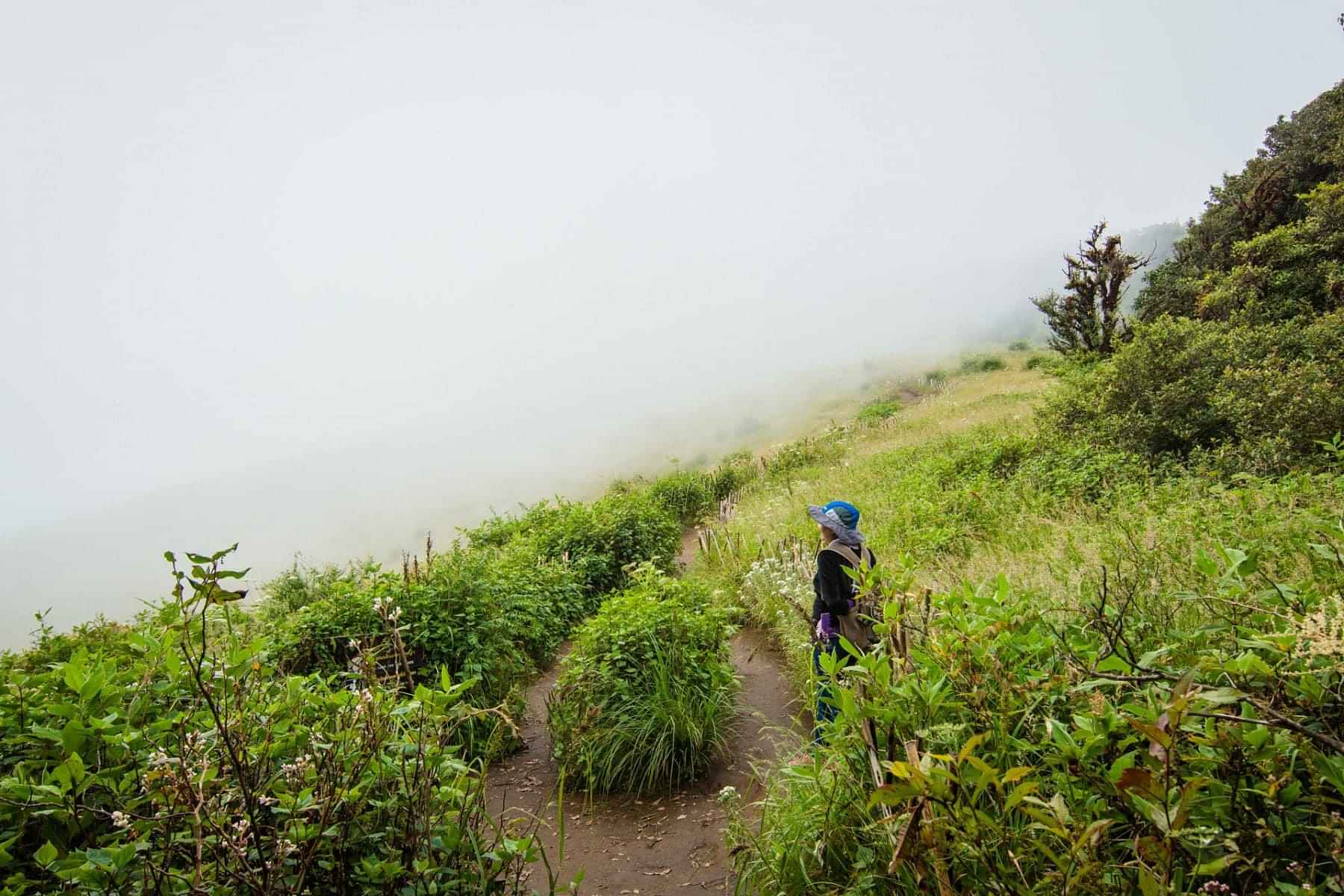 Chiang Mai - One Day Doi Inthanon & Trekking At Kew Mea Pan With Shared Transfers