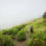 Chiang Mai - One Day Doi Inthanon & Trekking At Kew Mea Pan With Shared Transfers