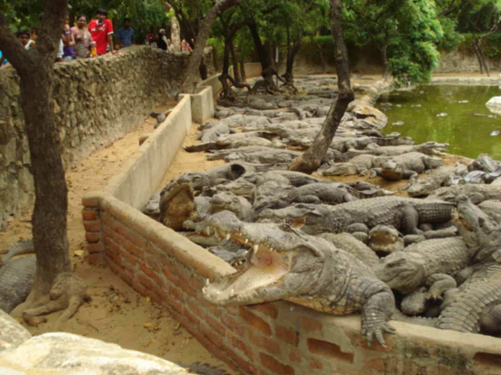 Itinerary gallery 3