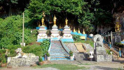 Calm and composed natural rainforest discovery tour at Khlong Thom National Park