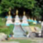 Calm and composed natural rainforest discovery tour at Khlong Thom National Park