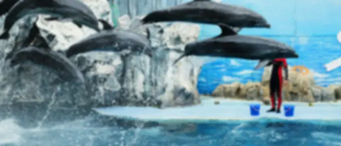 Safari World & Marine Park With Shared Transfer