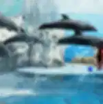 Safari World & Marine Park With Shared Transfer
