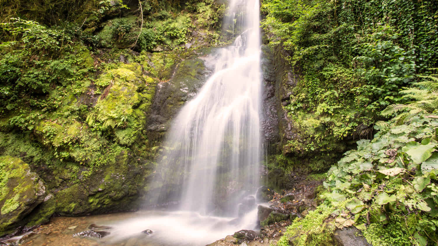 Full day tour to Batumi city & Makhuntseti waterfall including private transfers