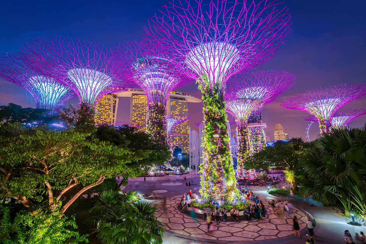 MBS, Gardens By The Bay, Flower Dome and  Super tree Observatory With Shared Transfers