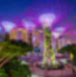 MBS, Gardens By The Bay, Flower Dome and Super tree Observatory With Shared Transfers