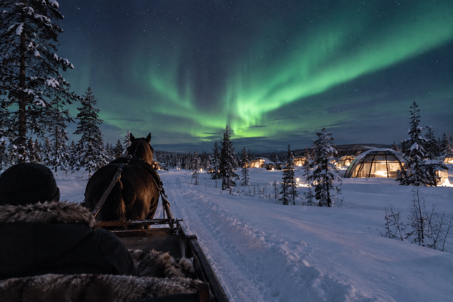 Aurora Hunting with Horse Sleigh