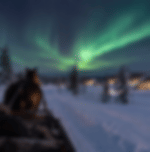 Aurora Hunting with Horse Sleigh