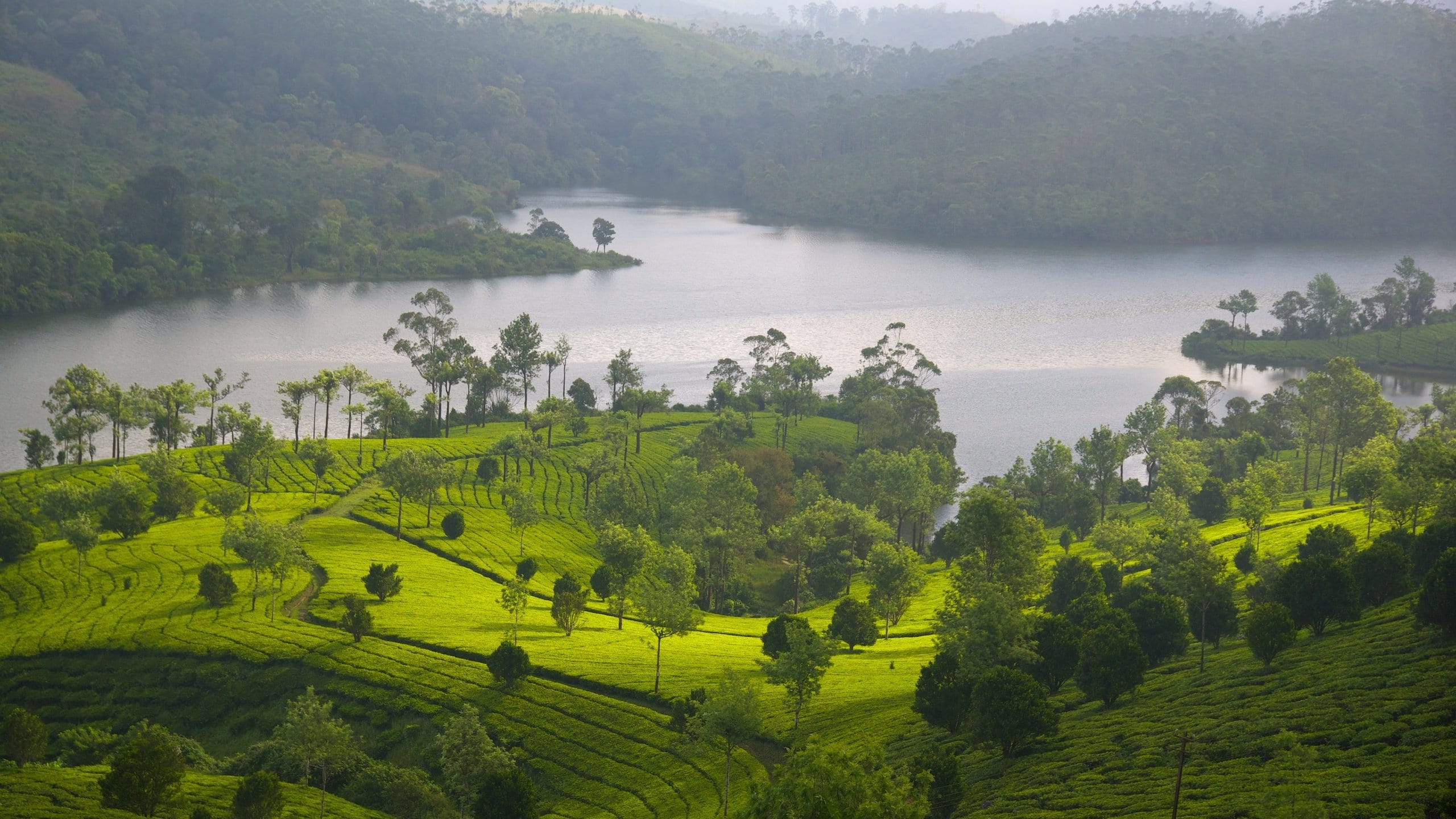 Munnar Full Day Sightseeing