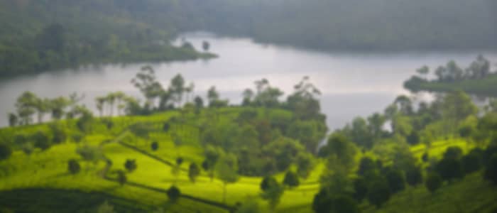 Munnar Full Day Sightseeing