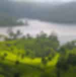 Munnar Full Day Sightseeing