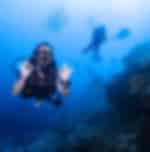 Pattaya-Padi Discover Scuba Diving (Shared Transfer)