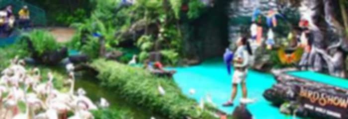 India to Thailand Honeymoon Package