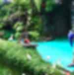 Safari World- Safari Park + Marine Park + River Safari Ride ( Ticket Only )