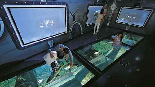 Exposure to a panoramic view of coral reefs and a variety of aquatic species at the Sea Life Bangkok Ocean World