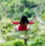 Ubud Palace, Bali Swing and Sacred Monkey Forest With Private Transfers