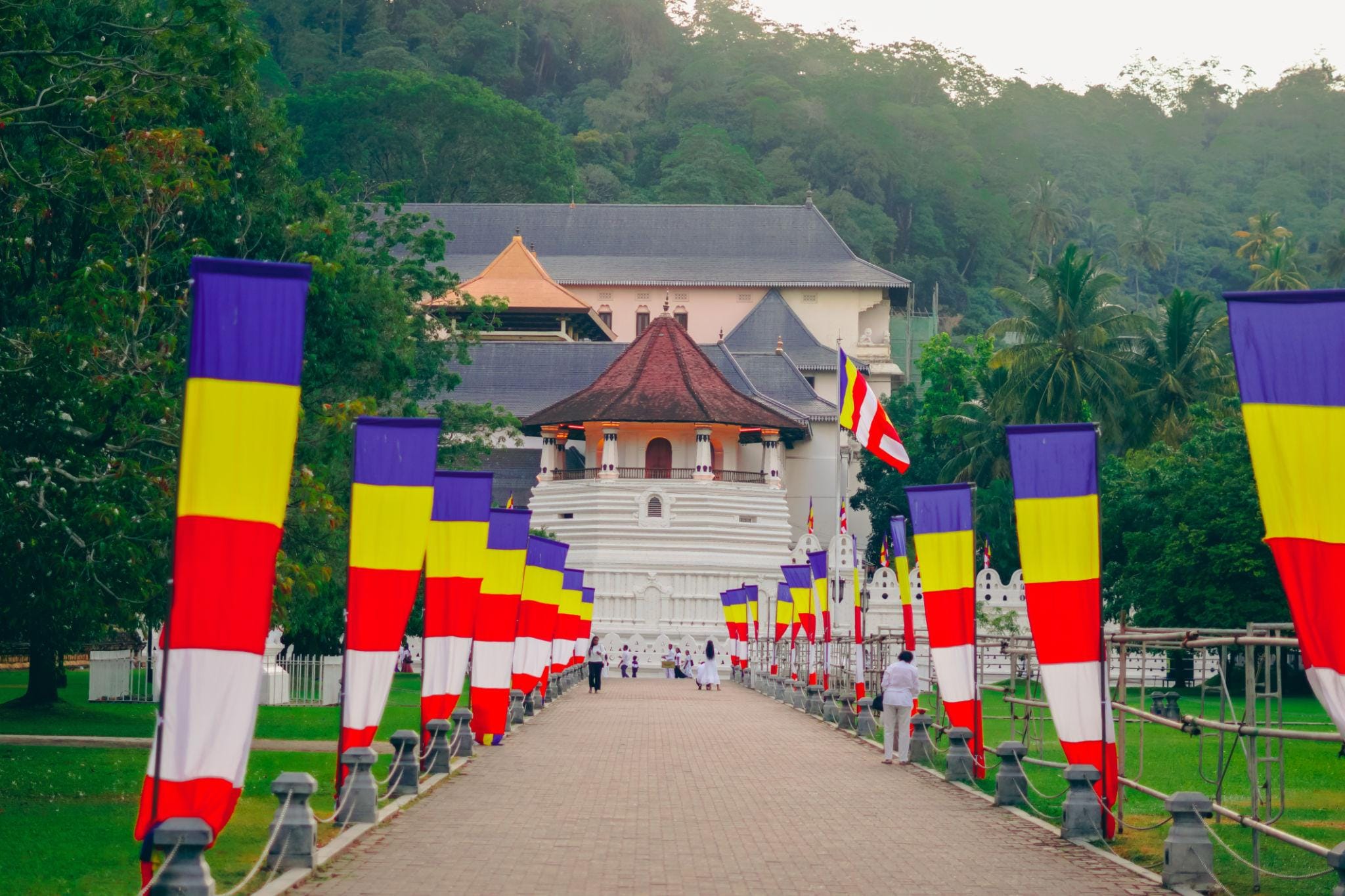 Kandy Highlights Day Tour from Colombo | Pinnawala Elephant Orphanage, Botanical Gardens & Cultural Show