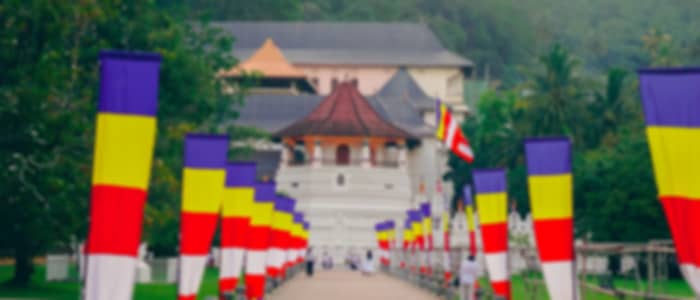 Kandy Highlights Day Tour from Colombo | Pinnawala Elephant Orphanage, Botanical Gardens & Cultural Show