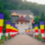 Kandy Highlights Day Tour from Colombo | Pinnawala Elephant Orphanage, Botanical Gardens & Cultural Show