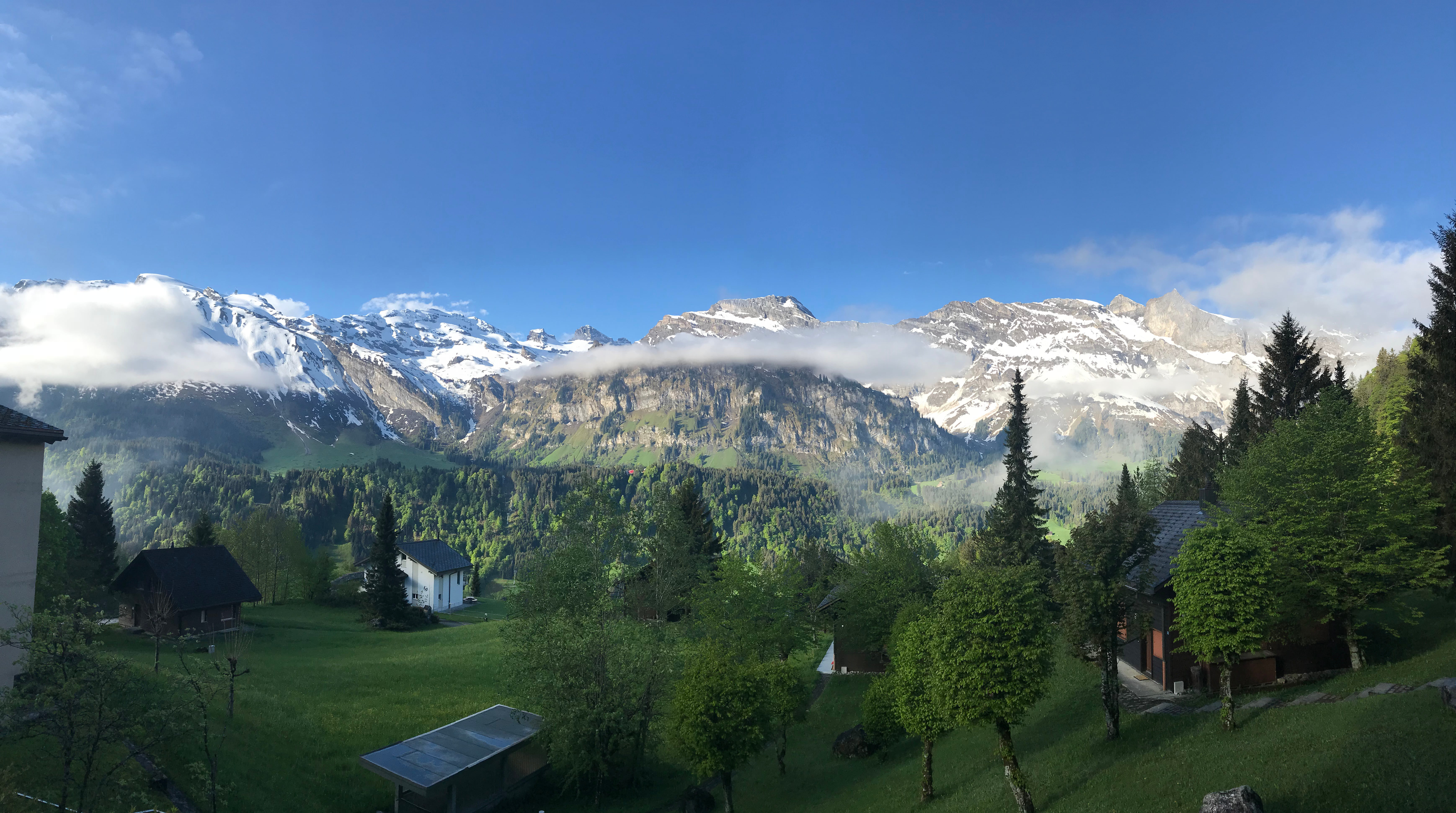 Bern : Highlights & Hidden Gems Walking Tour - Bern : Highlights & Hidden Gems Walking Tour