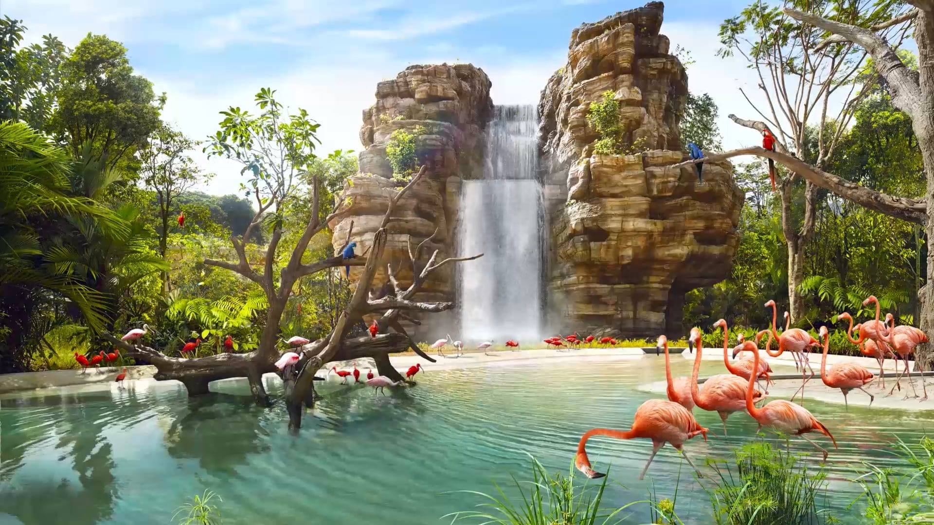 Bird Paradise, River wonders with ARQ boat ride and Night safari on private basis