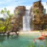 Bird Paradise, River wonders with ARQ boat ride and Night safari on private basis