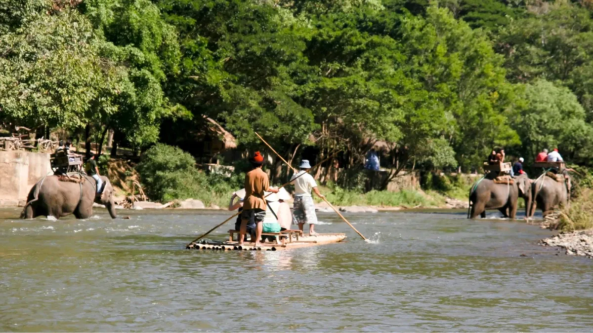 Chiang Mai-Elephant Show+Elephant Riding 30 Min+Ox+Bamboo Rafting+Lunch (Entry with Private Transfer)