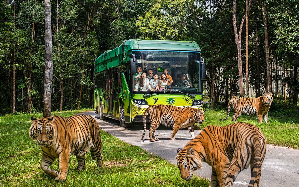 Vinpearl Safari Transfer – Hotel in North Phu Quoc