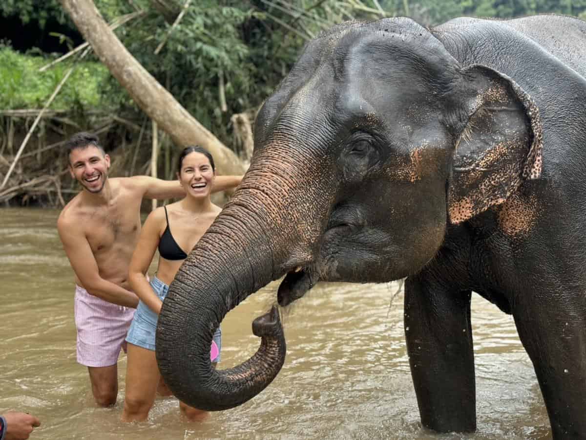 Chiang Mai-Elephant Sanctuary & Bamboo Rafting (Shared Transfer)
