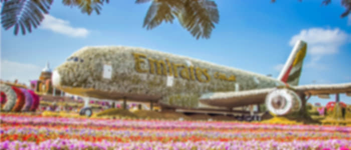 Miracle Garden and Global Village