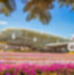 Miracle Garden and Global Village